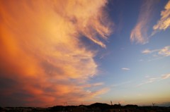 夕陽を受けて