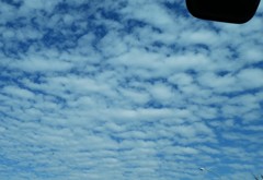 東名高速の鰯雲