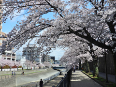 気持ちのいい遊歩道