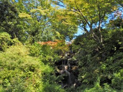 ハイレゾショットⅠ