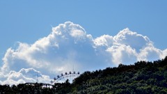 夏が来た！