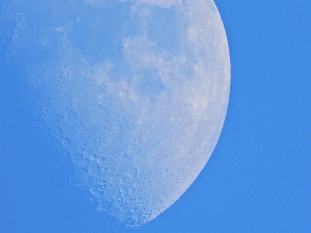 大晦日の月