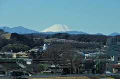 雅で富士山