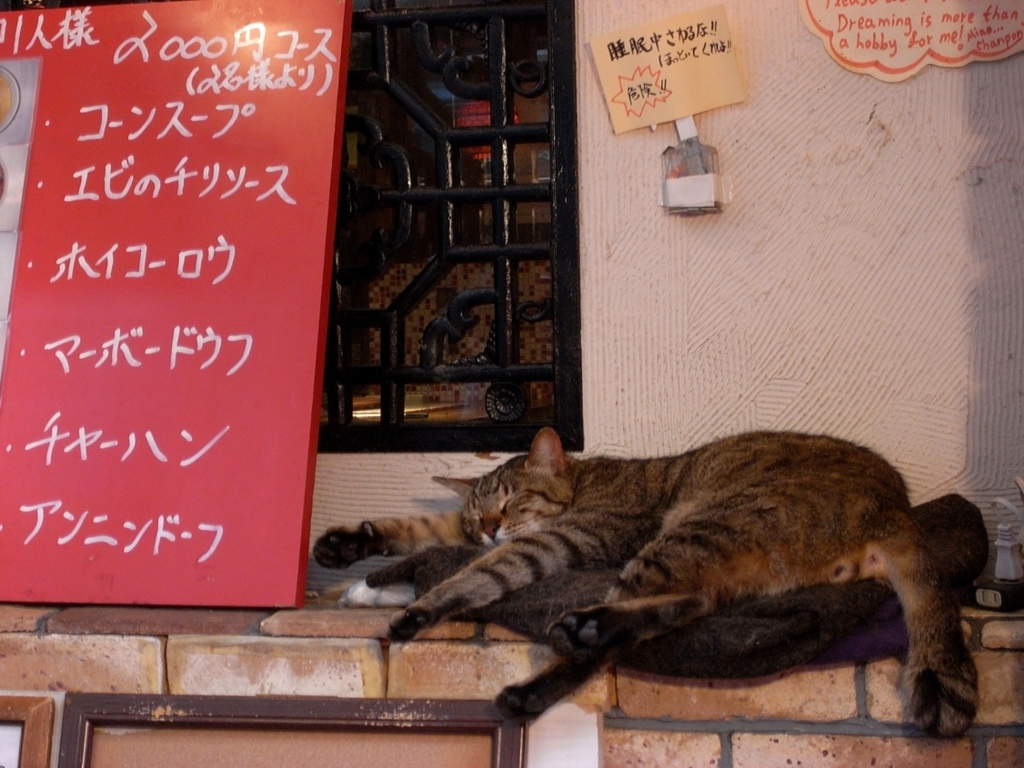 ほっといてくれよ！