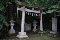 声をかけられて