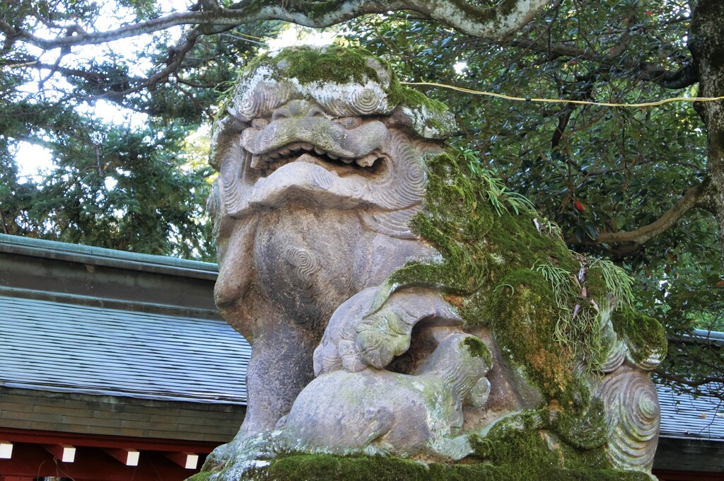 30年ぶり