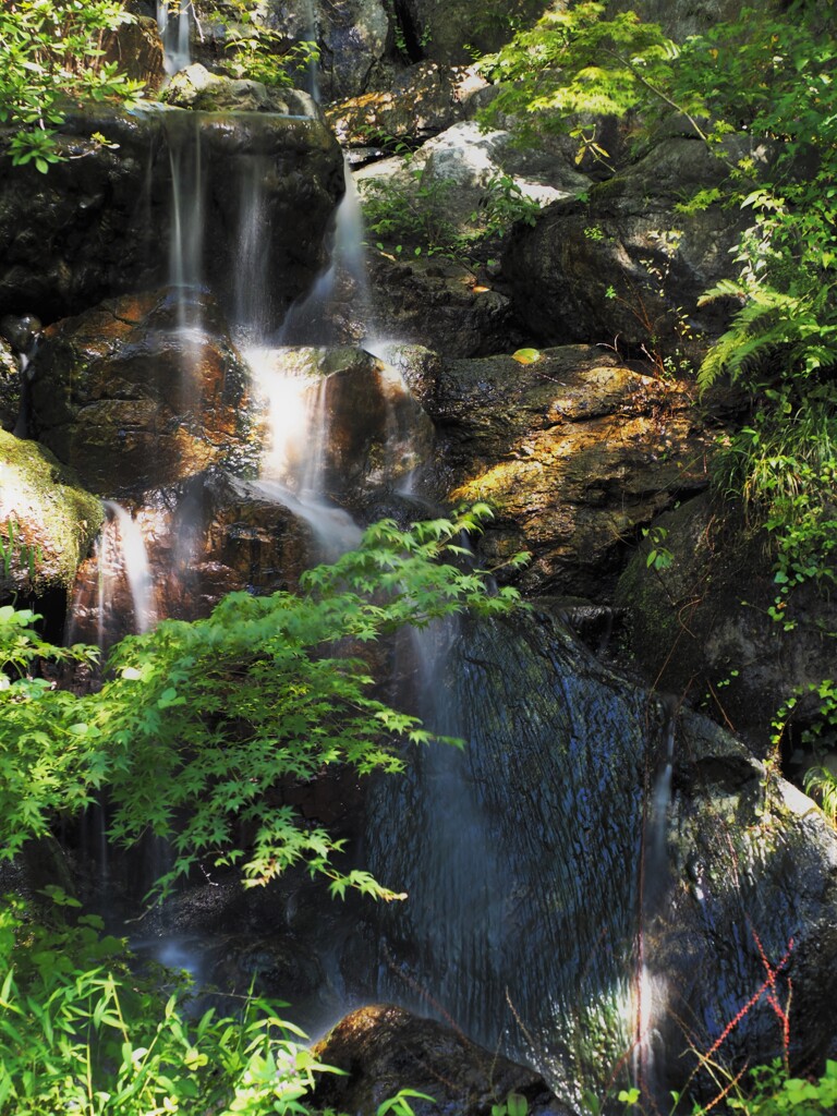 ライブNDフィルター