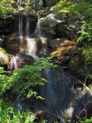 ライブNDフィルター