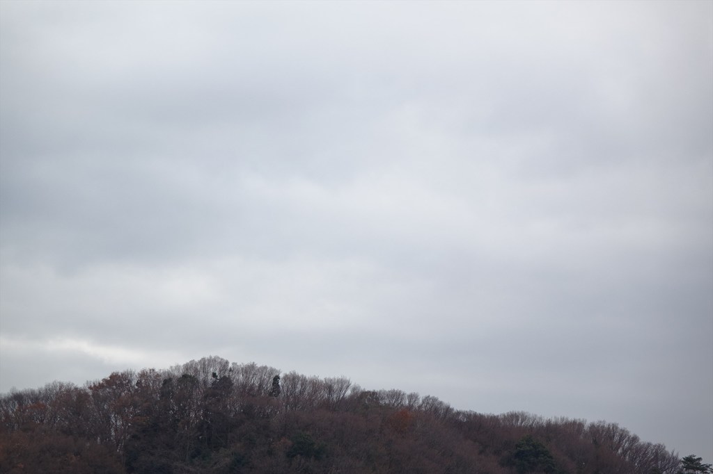 冬景色