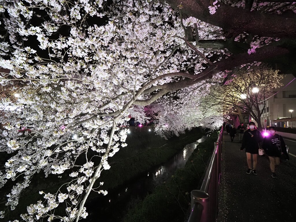 若い子たちも