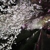 若い子たちも