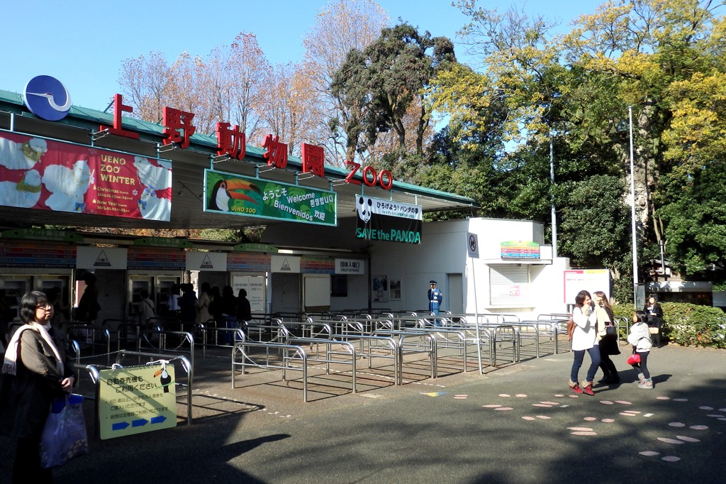東京日和