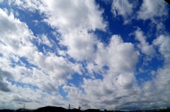 翔ぶが如く