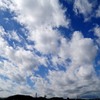 翔ぶが如く