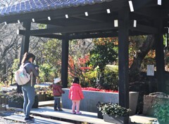 ね～こっち向いてよ