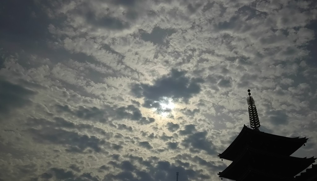 秋もよう