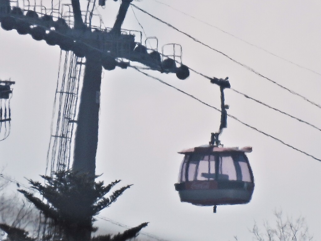 ダイナミックファインズーム4000㎜