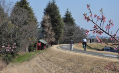 多摩川堤