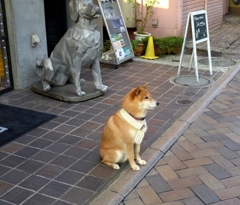 看板犬