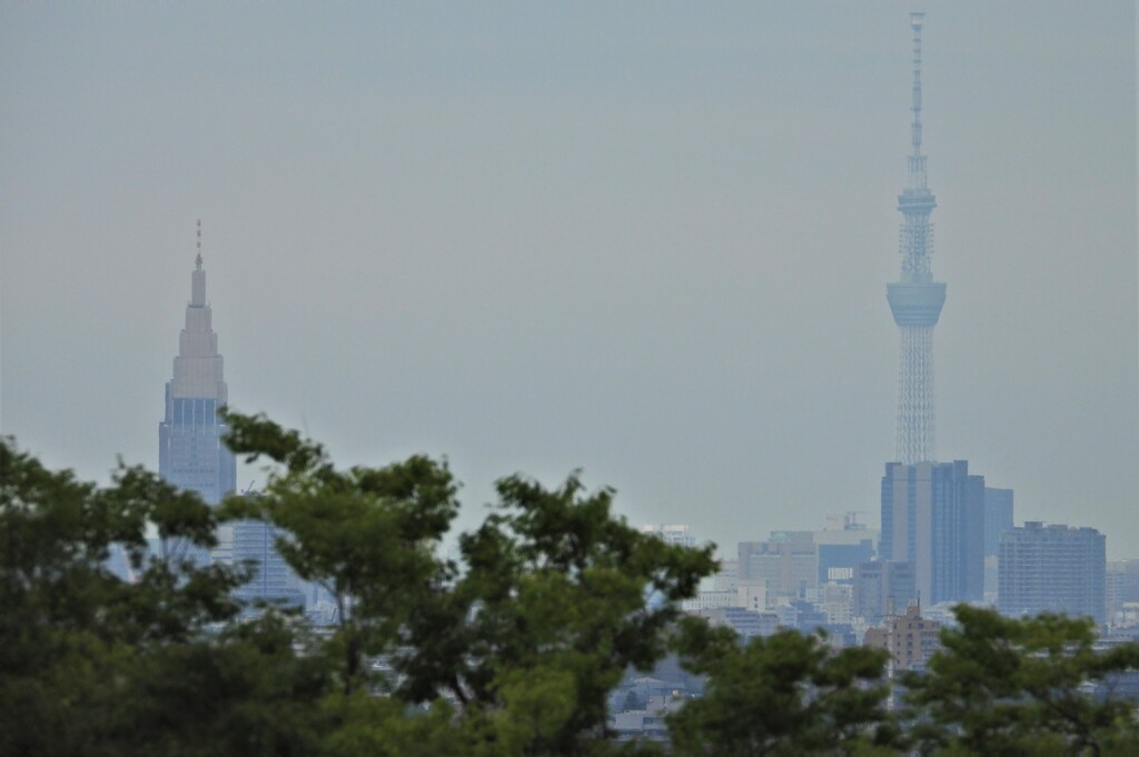 スカイツリーとドコモタワー