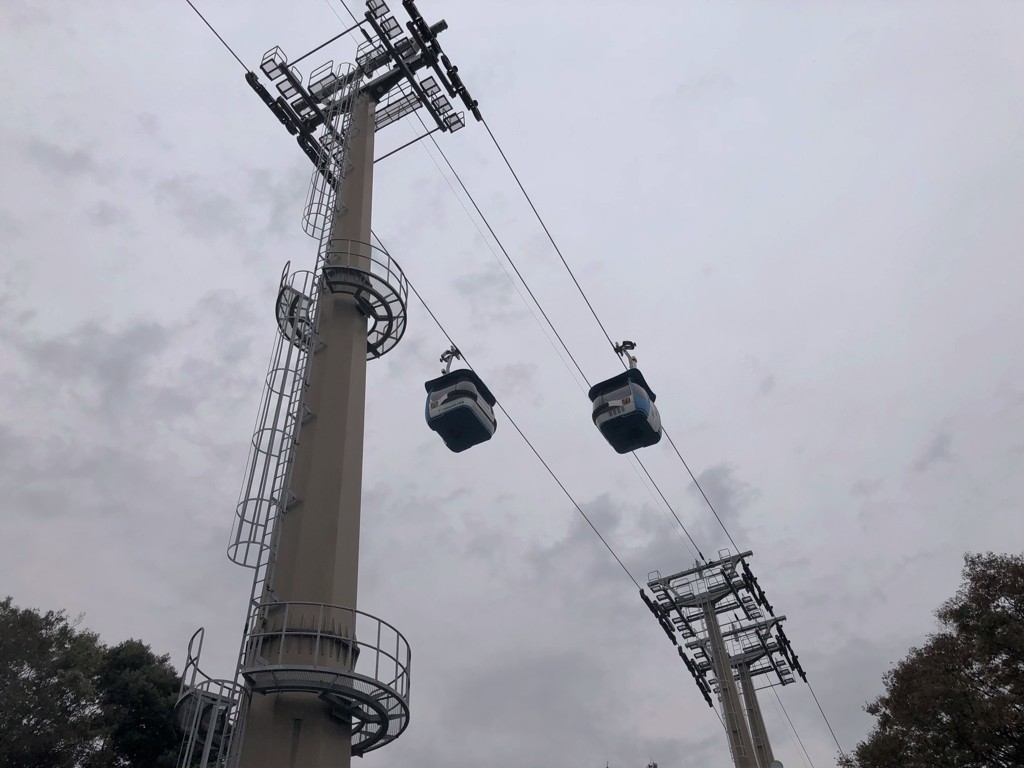 初めてのアングル