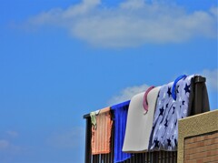 ナショナルフラッグ