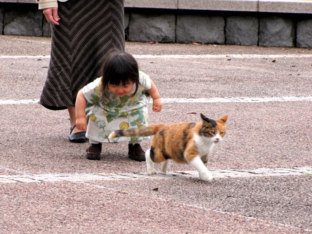 なんばしよっと