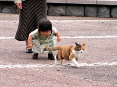 なんばしよっと
