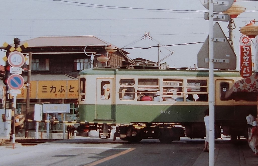 1982年5月