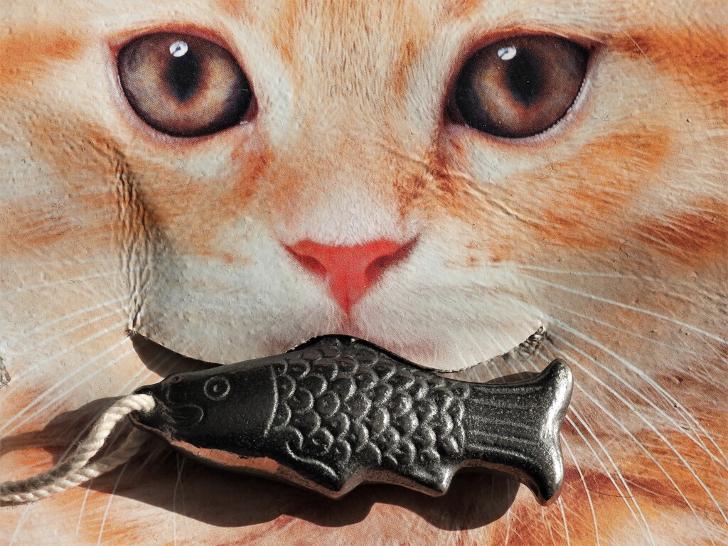 「鉄魚」届きました