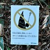 タケノコを採らないで
