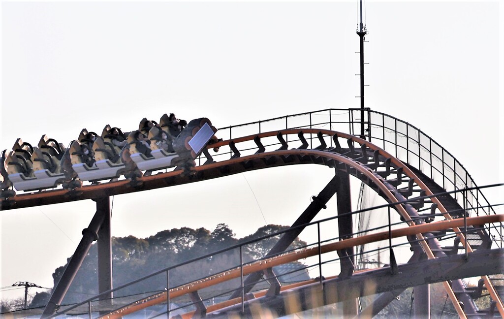 今日のキャー‼