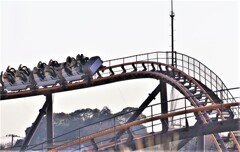 今日のキャー‼