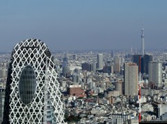 東京モード学園とスカイツリー