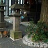 拝殿から出てくる出てくる