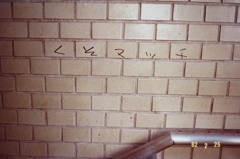 1982年