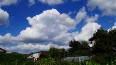 入道雲は農家によく似合う