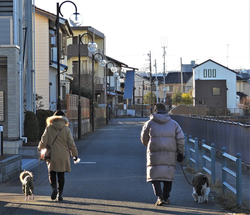 ワンコ友達