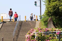 多摩川.com