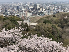 小田急線が見えます