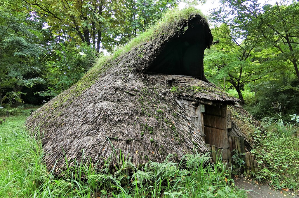6500年前の前期竪穴住居