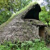 6500年前の前期竪穴住居