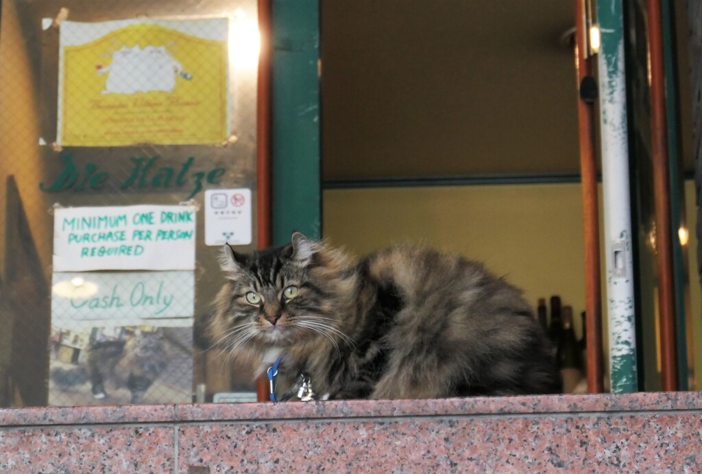 メンチ切ってました