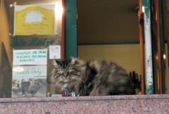 メンチ切ってました