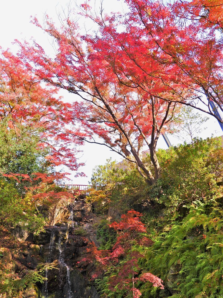 「空見の丘」からの滝