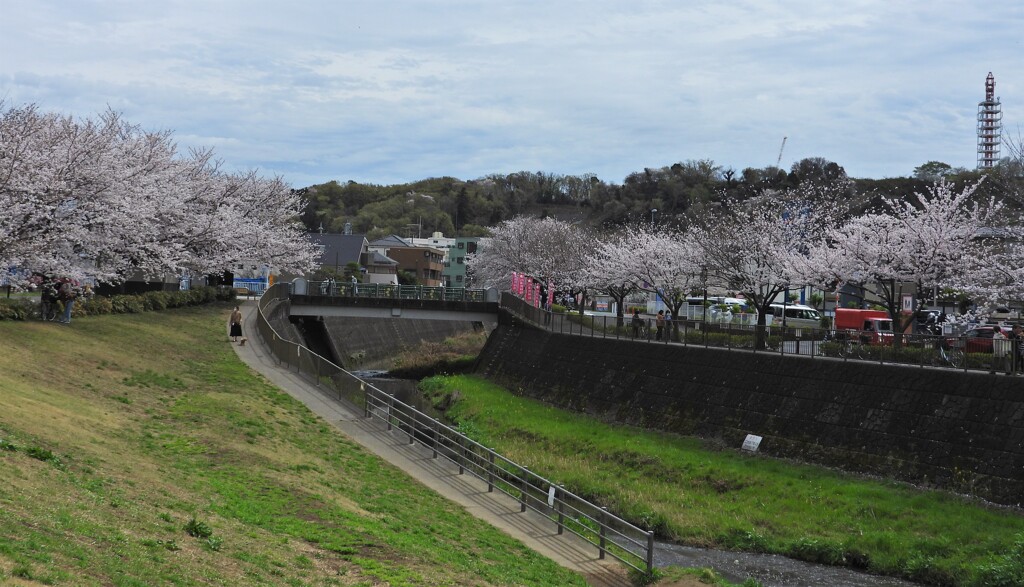親水公園全景
