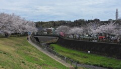 親水公園全景