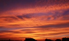 ｷﾀ――(ﾟ∀ﾟ)――!!