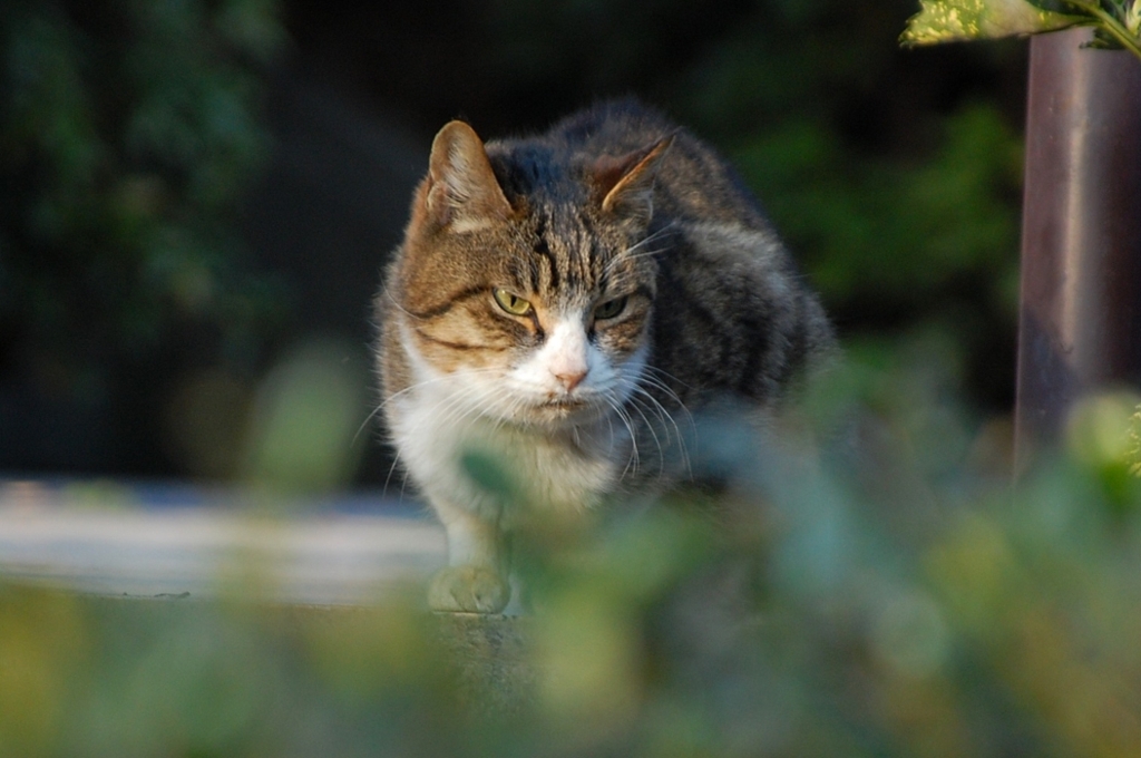 ひとりでいると