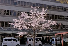 手続き完了！